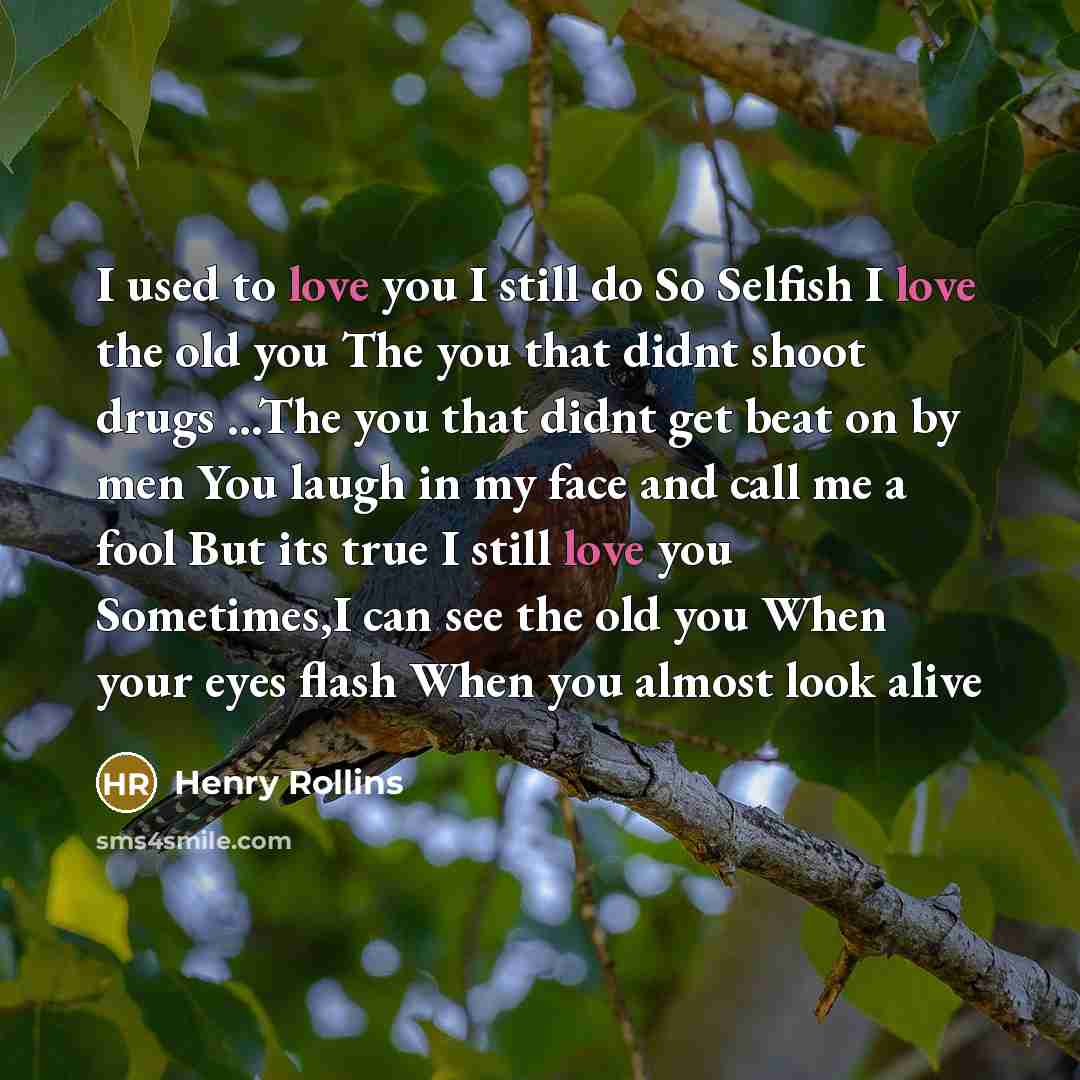 “I used to love you I still do So Selfish…” quote by Henry Rollins
