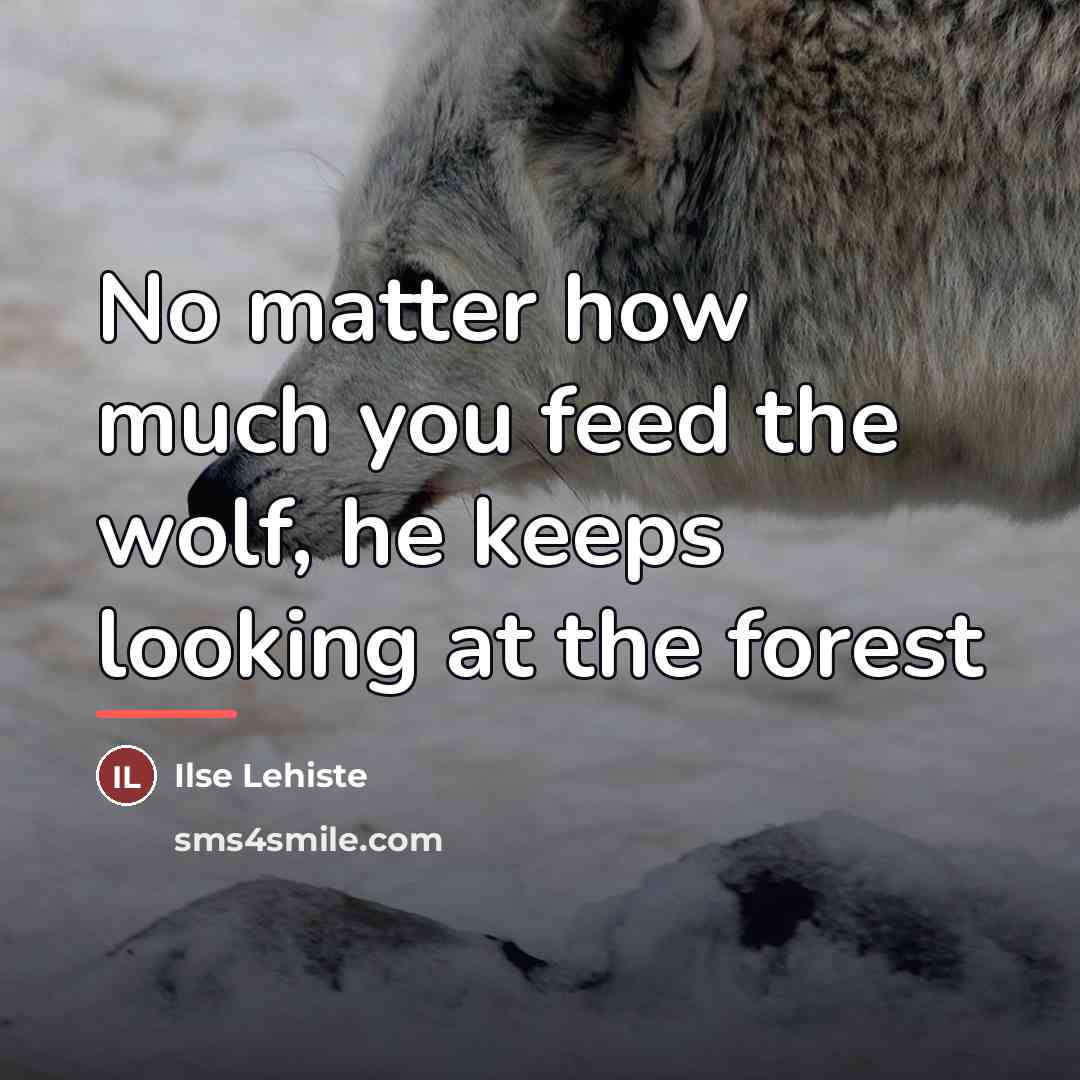 “No matter how much you feed the wolf, he keeps…” quote by Ilse Lehiste