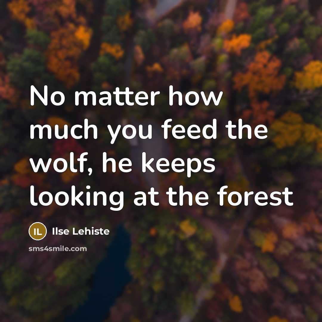 “No matter how much you feed the wolf, he keeps looking at the forest” quote by Ilse Lehiste