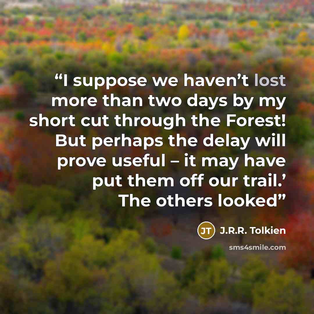 “I suppose we haven’t lost more than two days by my short cut through the Forest! But perhaps the delay will prove useful – it may have put them off our trail.’ The others looked” quote by J.R.R. Tolkien