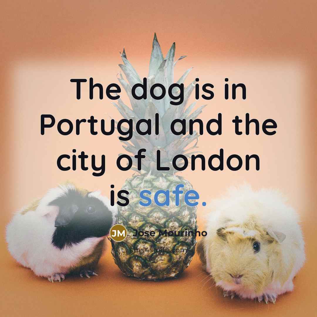 “The dog is in Portugal and the city of London is safe.” quote by Jose Mourinho