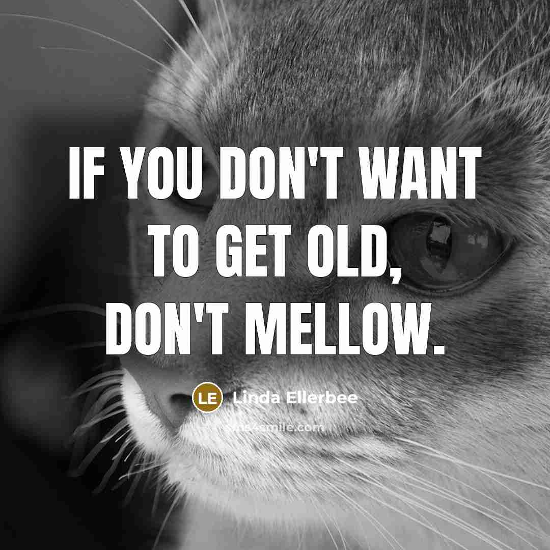 “if you don't want to get old, don't mellow.…” quote by Linda Ellerbee