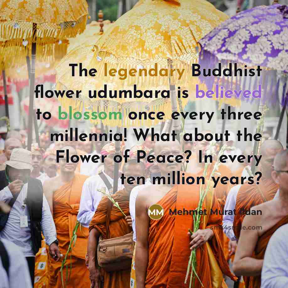“The legendary Buddhist flower udumbara is believed to blossom once…” quote by Mehmet Murat Ildan