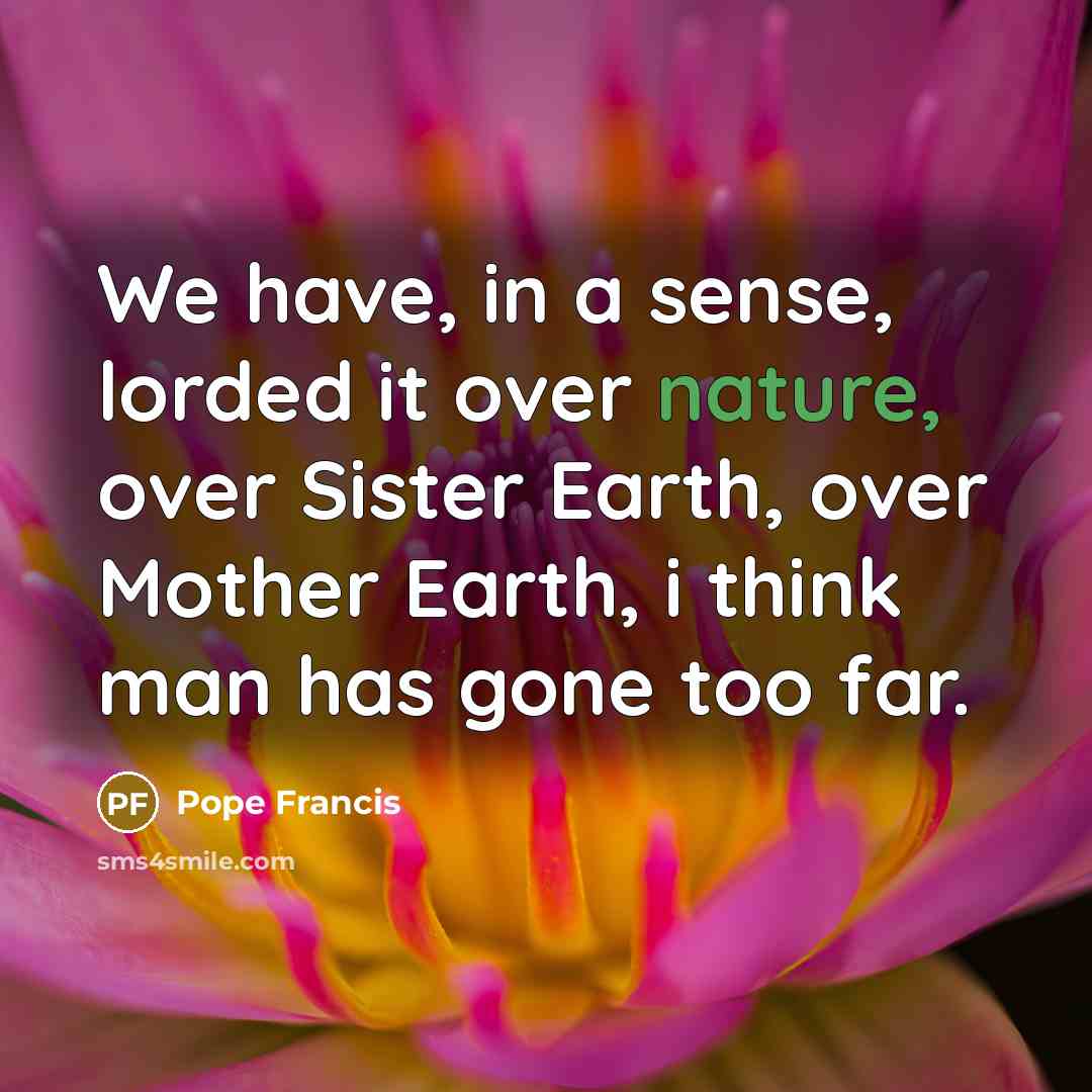 “We have, in a sense, lorded it over nature, over…” quote by Pope Francis