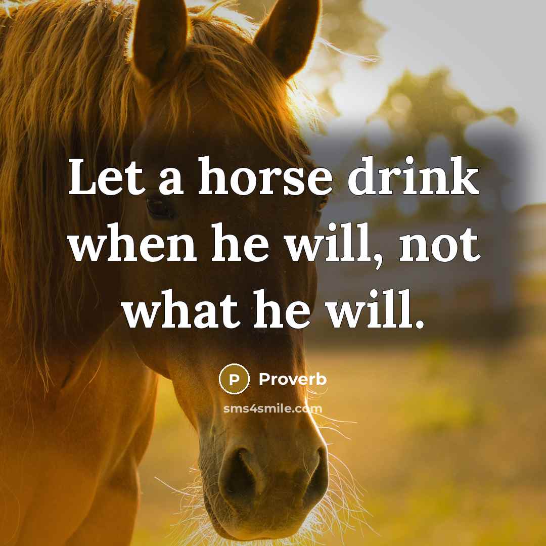 “Let a horse drink when he will, not what he…” quote by Proverb