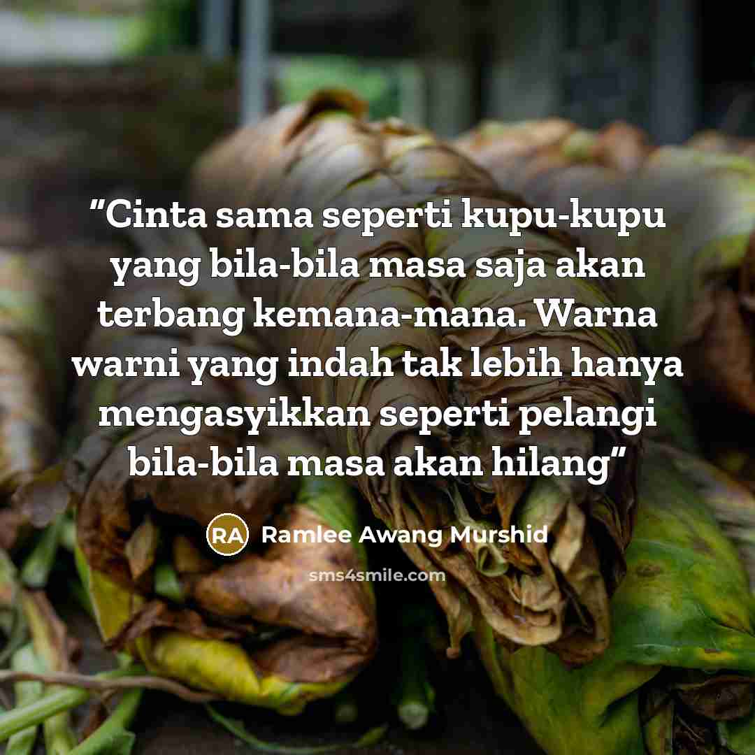“Cinta sama seperti kupu-kupu yang bila-bila masa saja akan terbang kemana-mana. Warna warni yang indah tak lebih hanya mengasyikkan seperti pelangi bila-bila masa akan hilang” quote by Ramlee Awang Murshid
