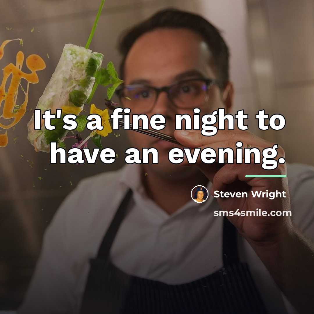 “It's a fine night to have an evening.…” quote by Steven Wright