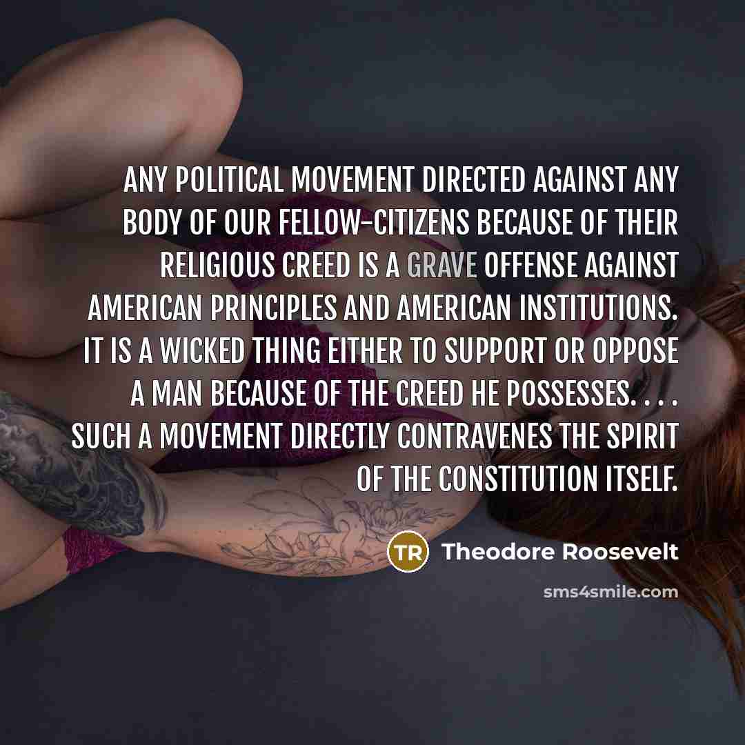 “Any political movement directed against any body of our fellow-citizens…” quote by Theodore Roosevelt