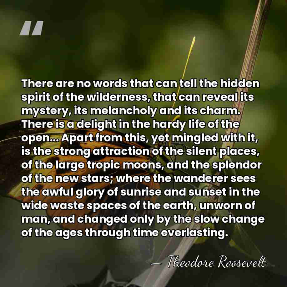 There are no words that can tell the hidden spirit of the&hellip; - Theodore Roosevelt