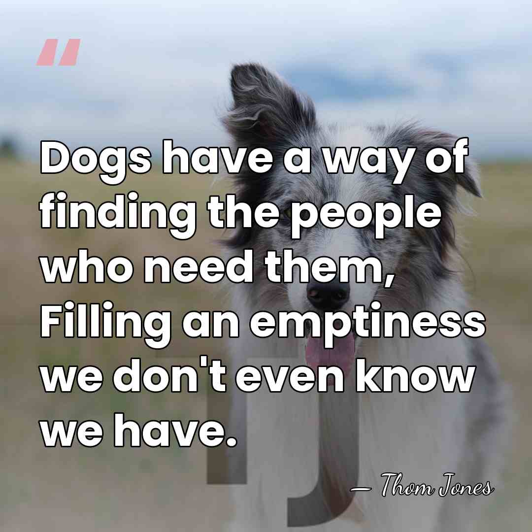 Dogs have a way of finding the people who need them, Filling&hellip; - Thom Jones