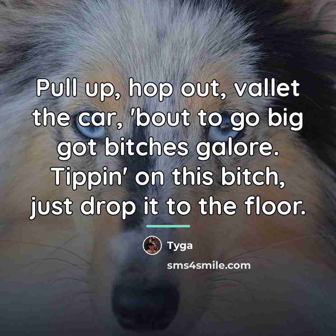 “Pull up, hop out, vallet the car, 'bout to go…” quote by Tyga