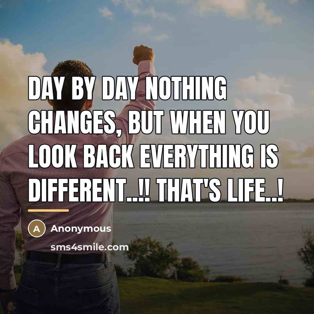 “Day by day nothing changes, but when you look back…” quote by Anonymous