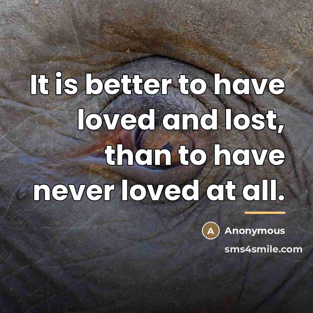 “It is better to have loved and lost, than to…” quote by Anonymous