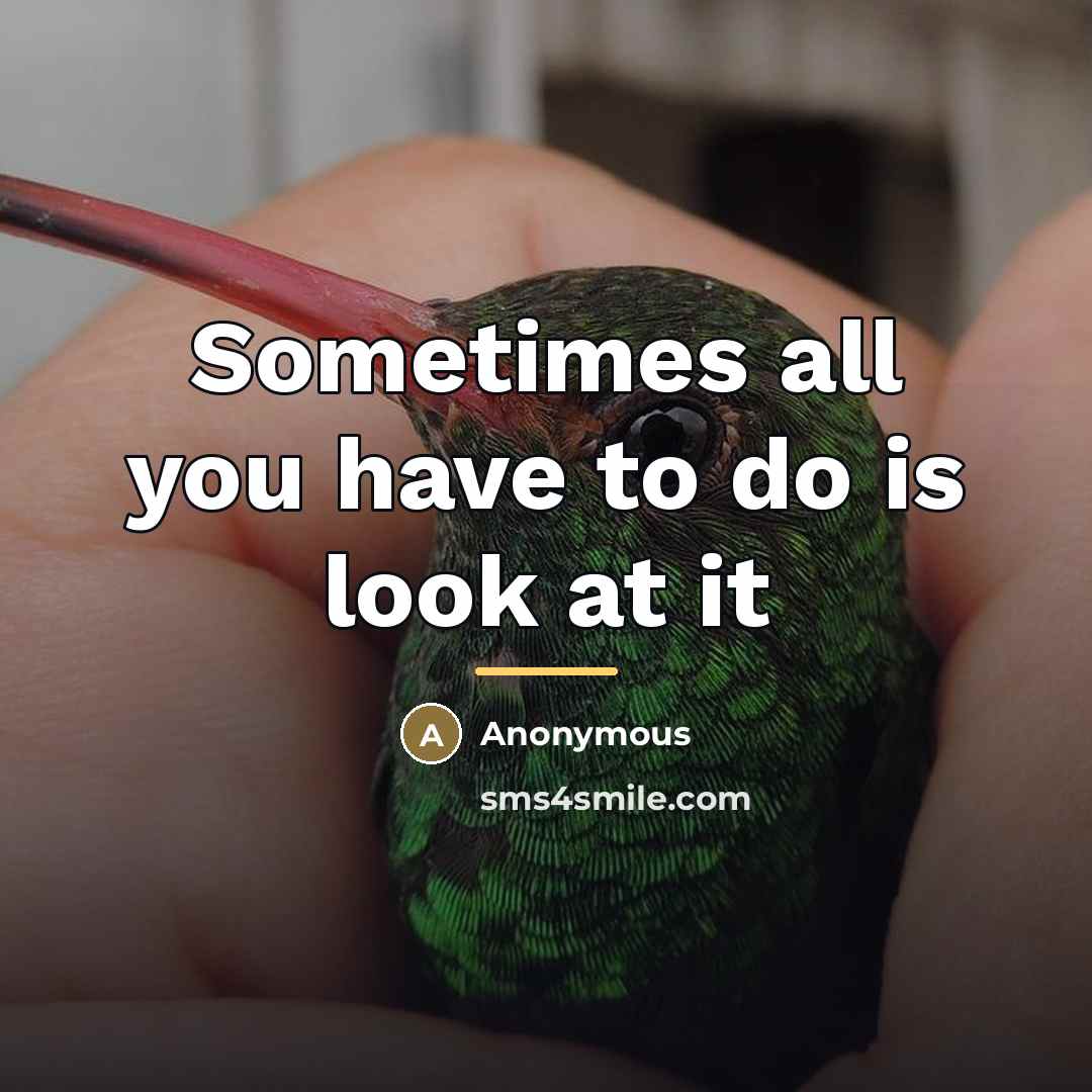 “Sometimes all you have to do is look at it…” quote by Anonymous