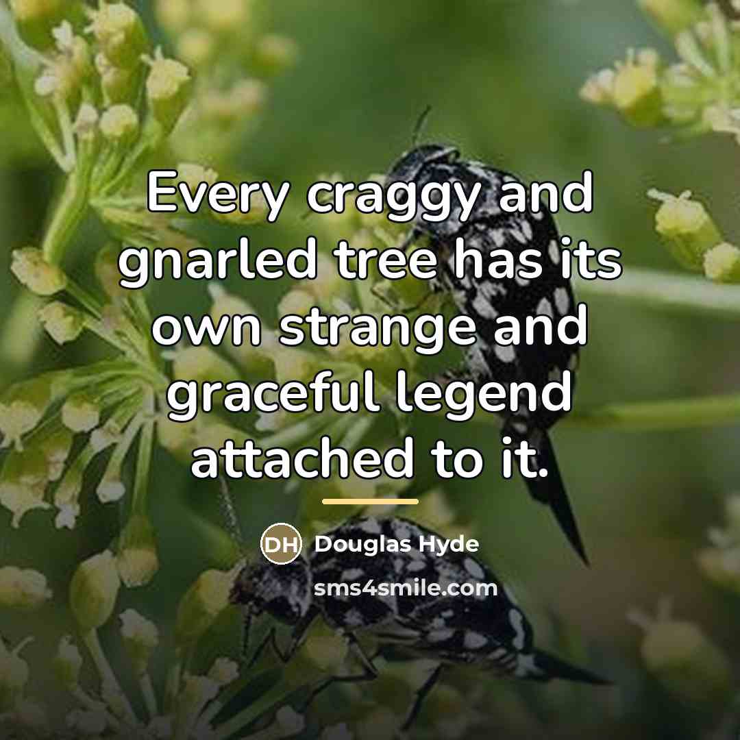 “Every craggy and gnarled tree has its own strange and…” quote by Douglas Hyde