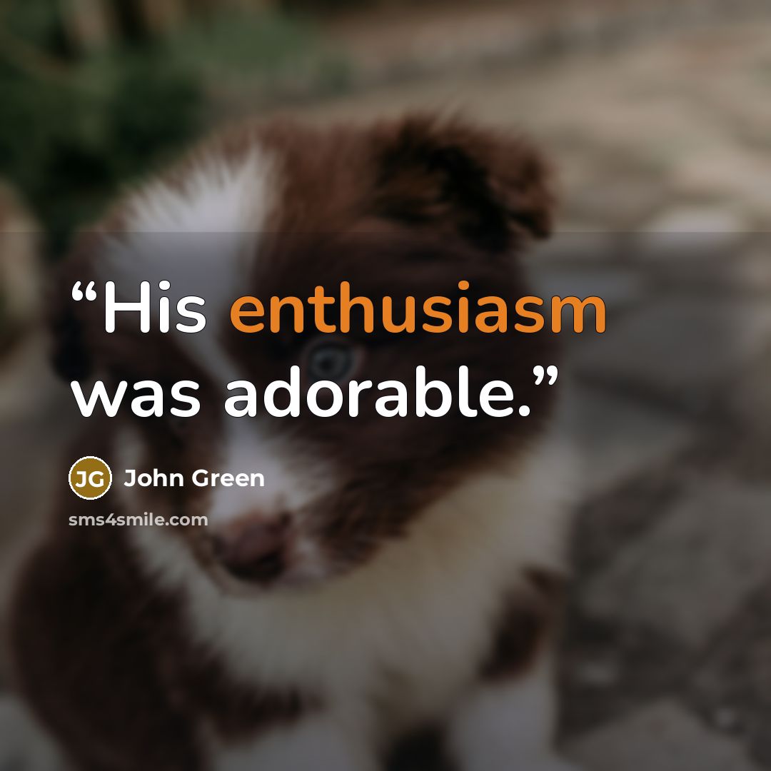 “His enthusiasm was adorable.” quote by John Green