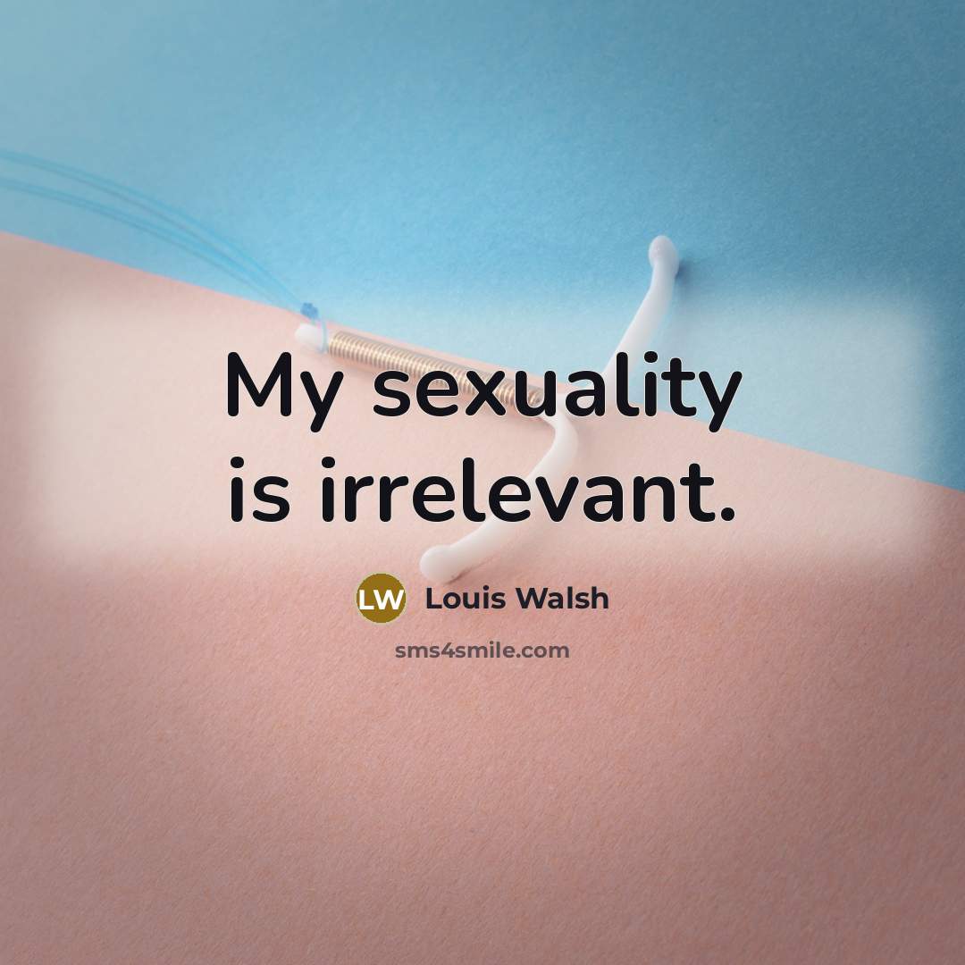 “My sexuality is irrelevant.…” quote by Louis Walsh