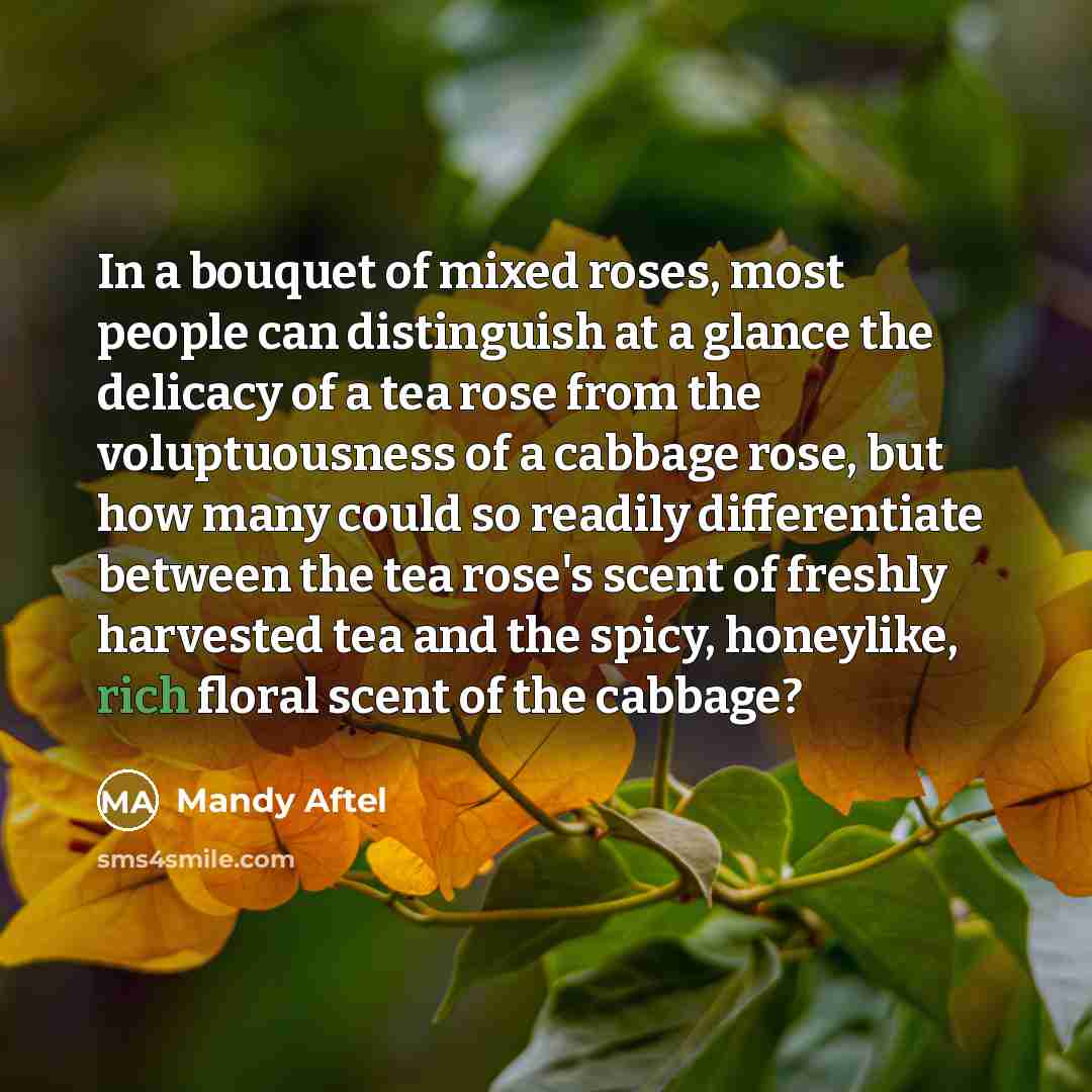 “In a bouquet of mixed roses, most people can distinguish…” quote by Mandy Aftel