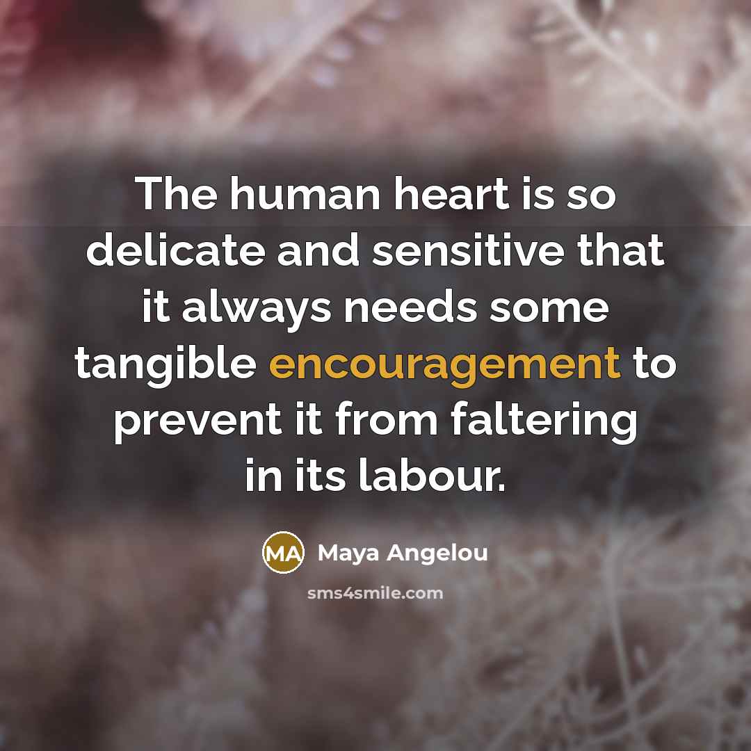 “The human heart is so delicate and sensitive that it…” quote by Maya Angelou