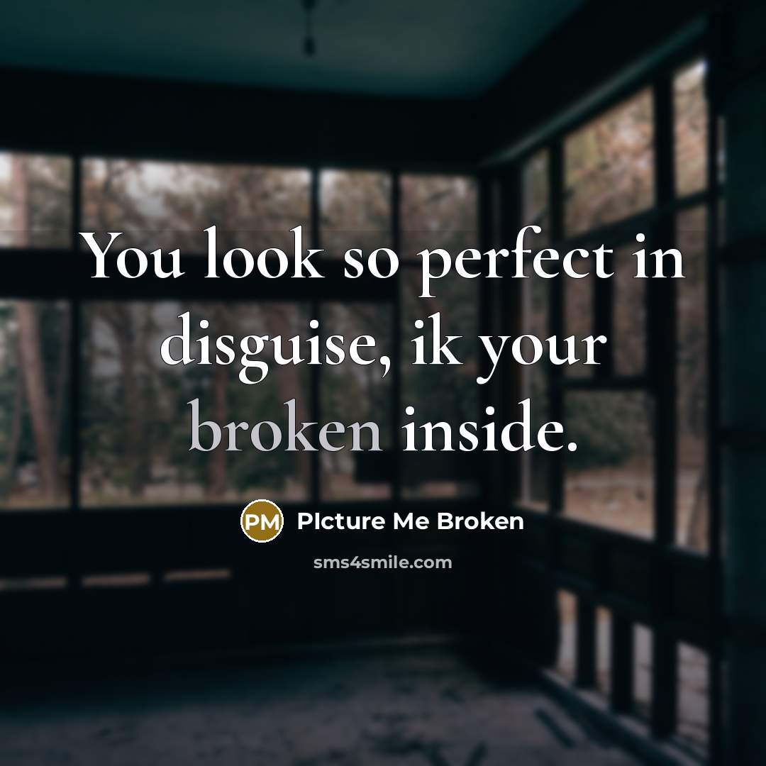 “You look so perfect in disguise, ik your broken inside.” quote by Picture Me Broken