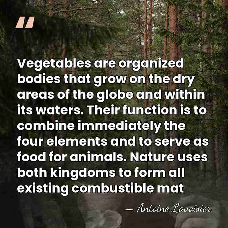 Vegetables are organized bodies that grow on the dry areas of the&hellip; - Antoine Lavoisier