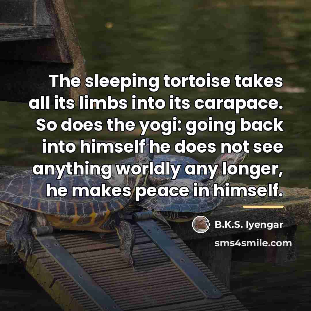“The sleeping tortoise takes all its limbs into its carapace.…” quote by B.K.S. Iyengar