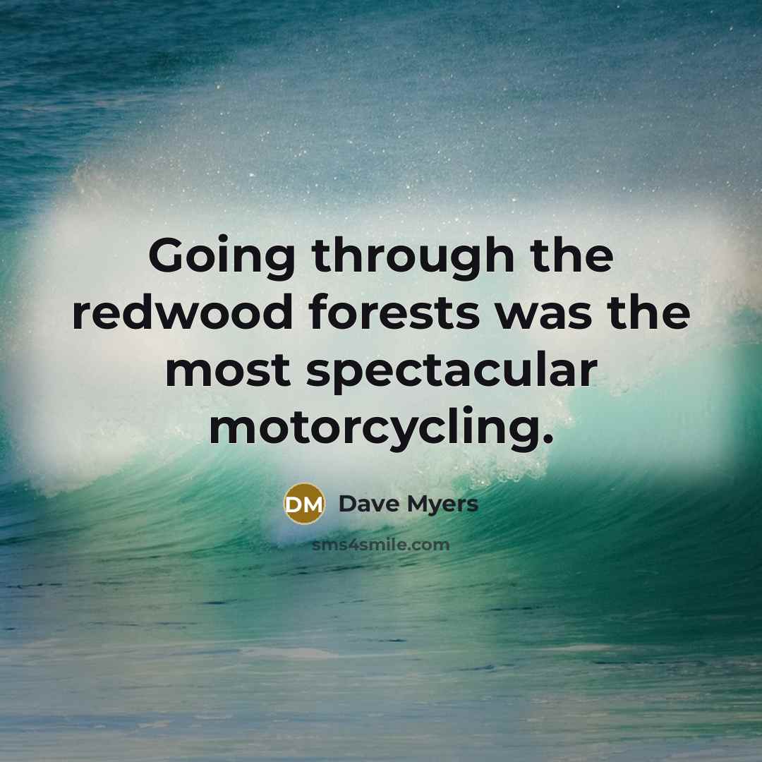 “Going through the redwood forests was the most spectacular motorcycling.…” quote by Dave Myers