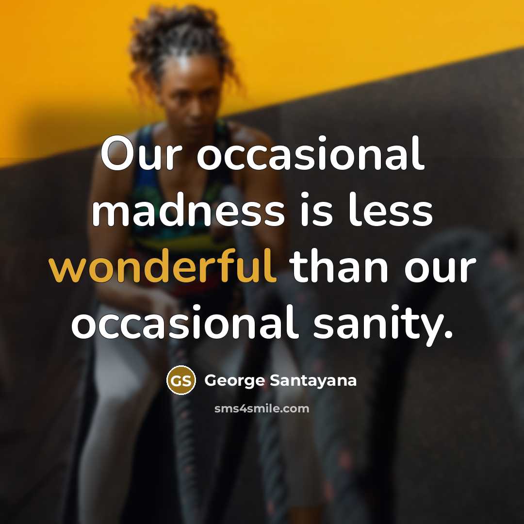 “Our occasional madness is less wonderful than our occasional sanity.…” quote by George Santayana