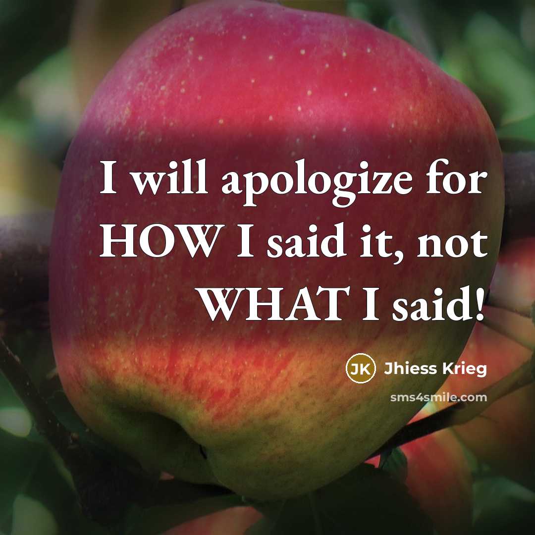 “I will apologize for HOW I said it, not WHAT…” quote by Jhiess Krieg
