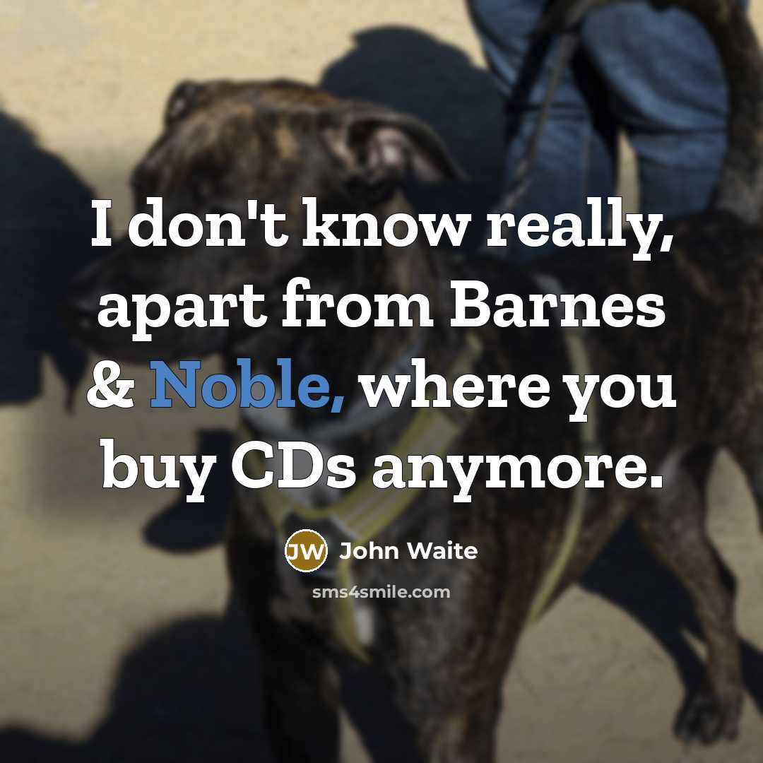 “I don't know really, apart from Barnes & Noble, where…” quote by John Waite