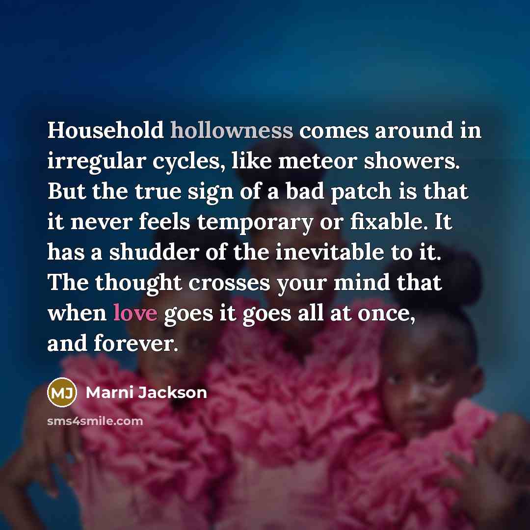 “Household hollowness comes around in irregular cycles, like meteor showers.…” quote by Marni Jackson