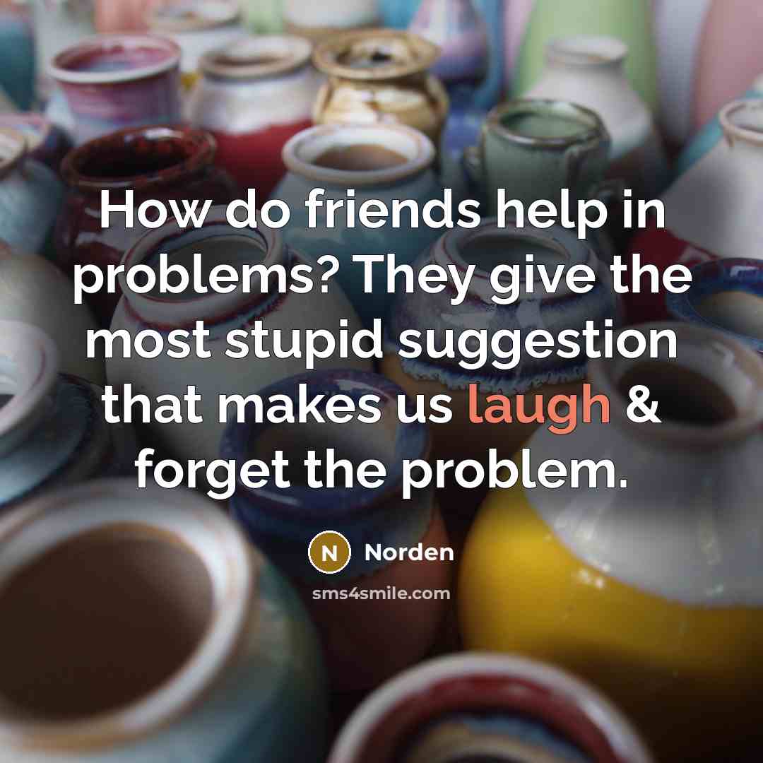“How do friends help in problems? They give the most…” quote by Norden