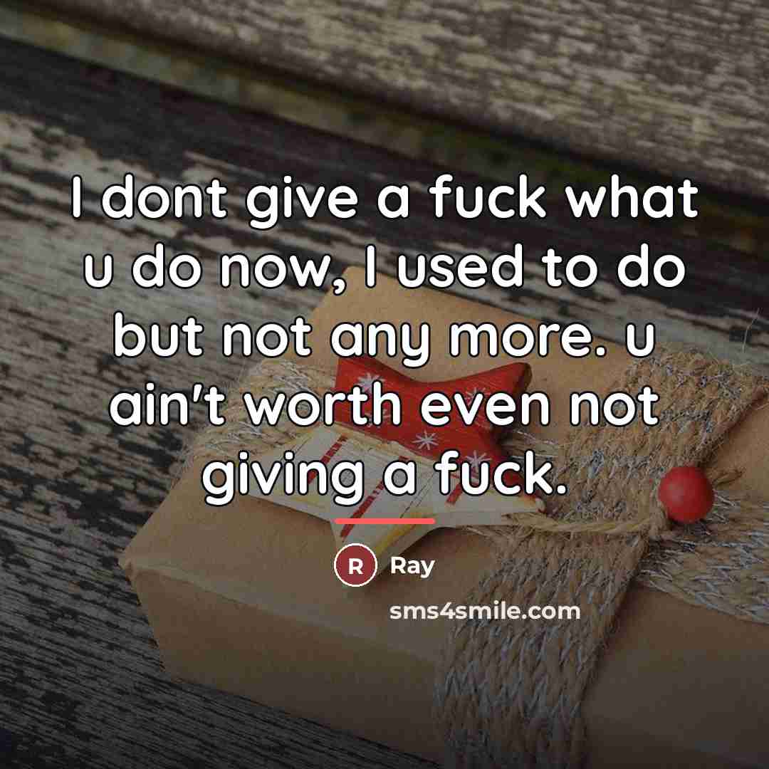 “I dont give a fuck what u do now, I…” quote by Ray