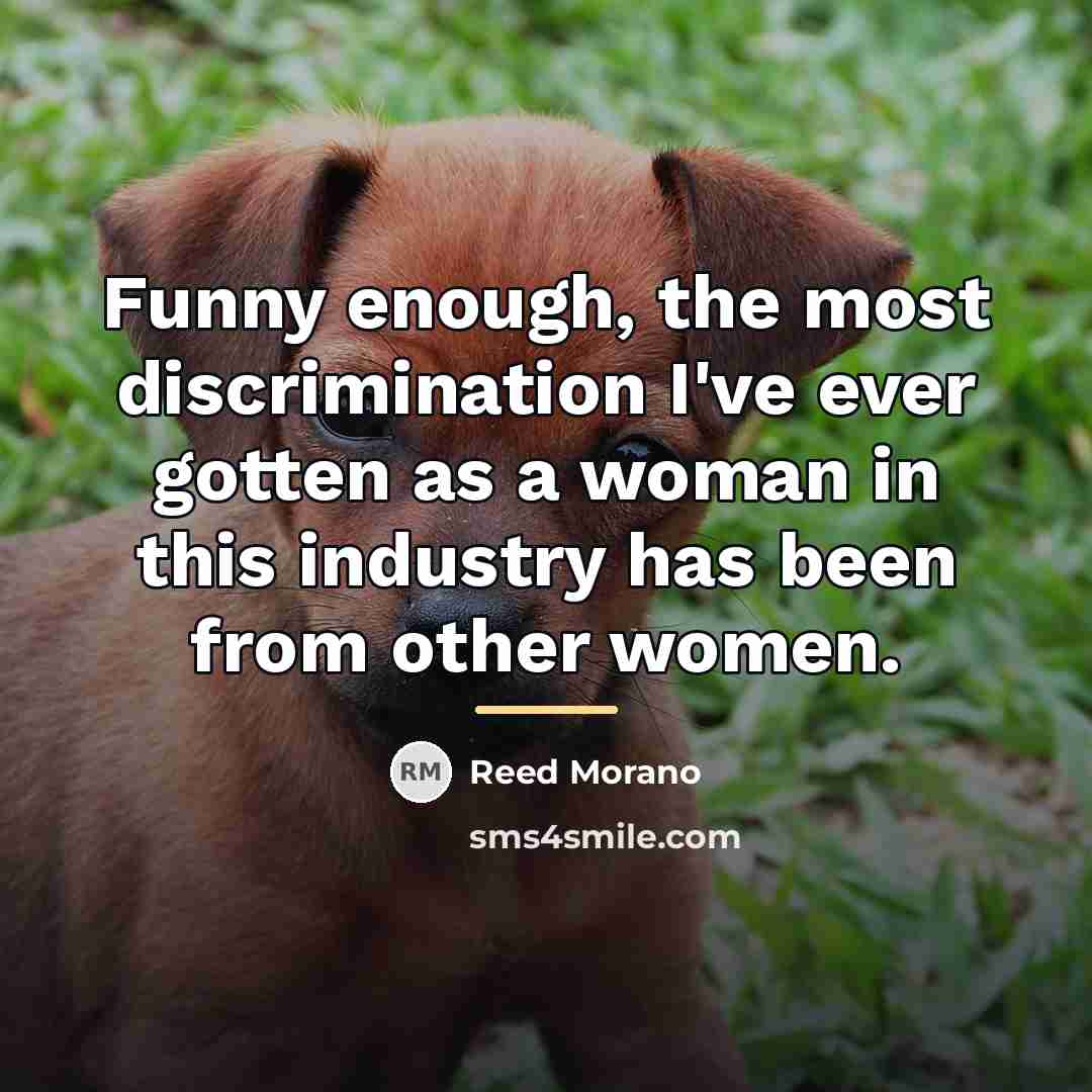 “Funny enough, the most discrimination I've ever gotten as a…” quote by Reed Morano