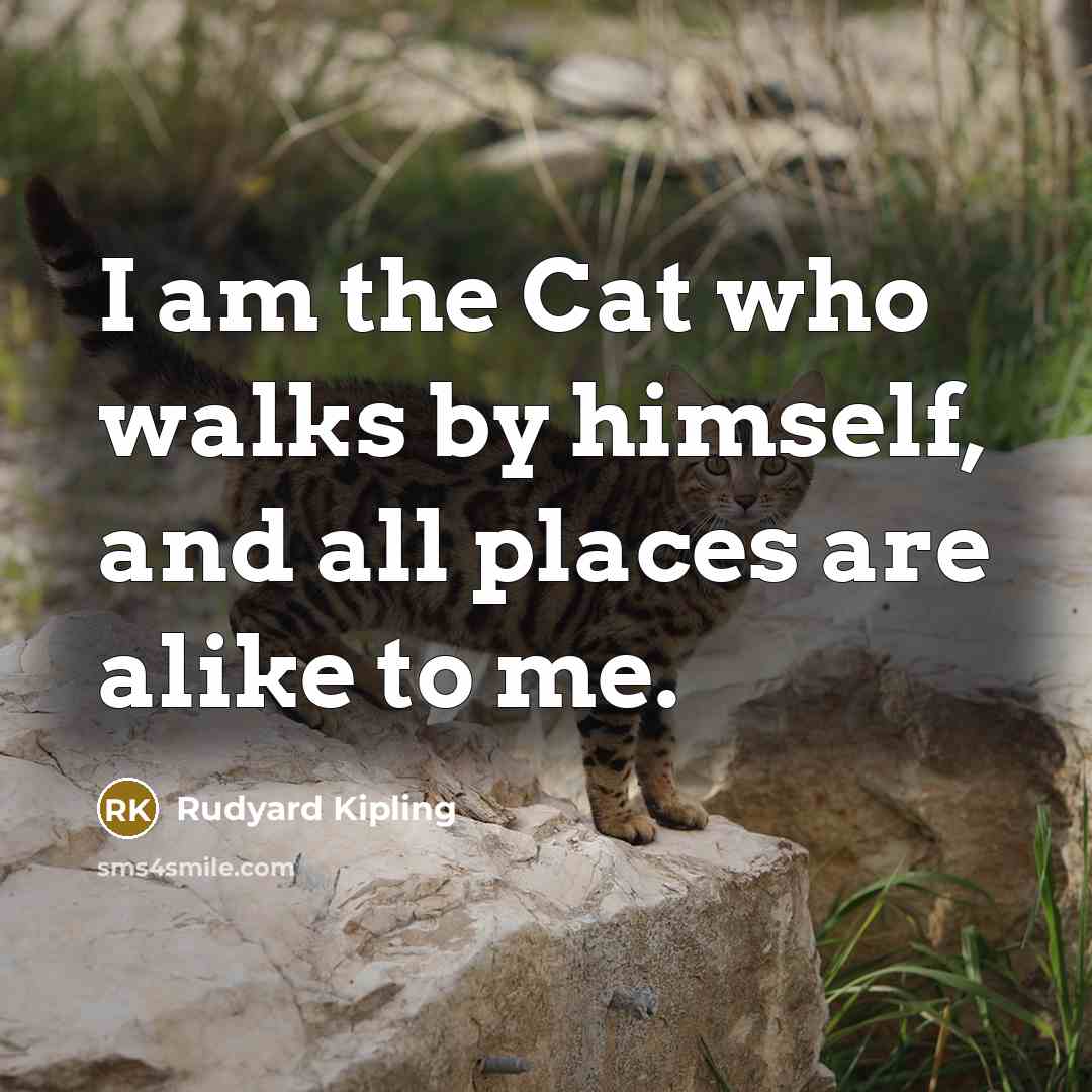 “I am the Cat who walks by himself, and all places are alike to me.” quote by Rudyard Kipling