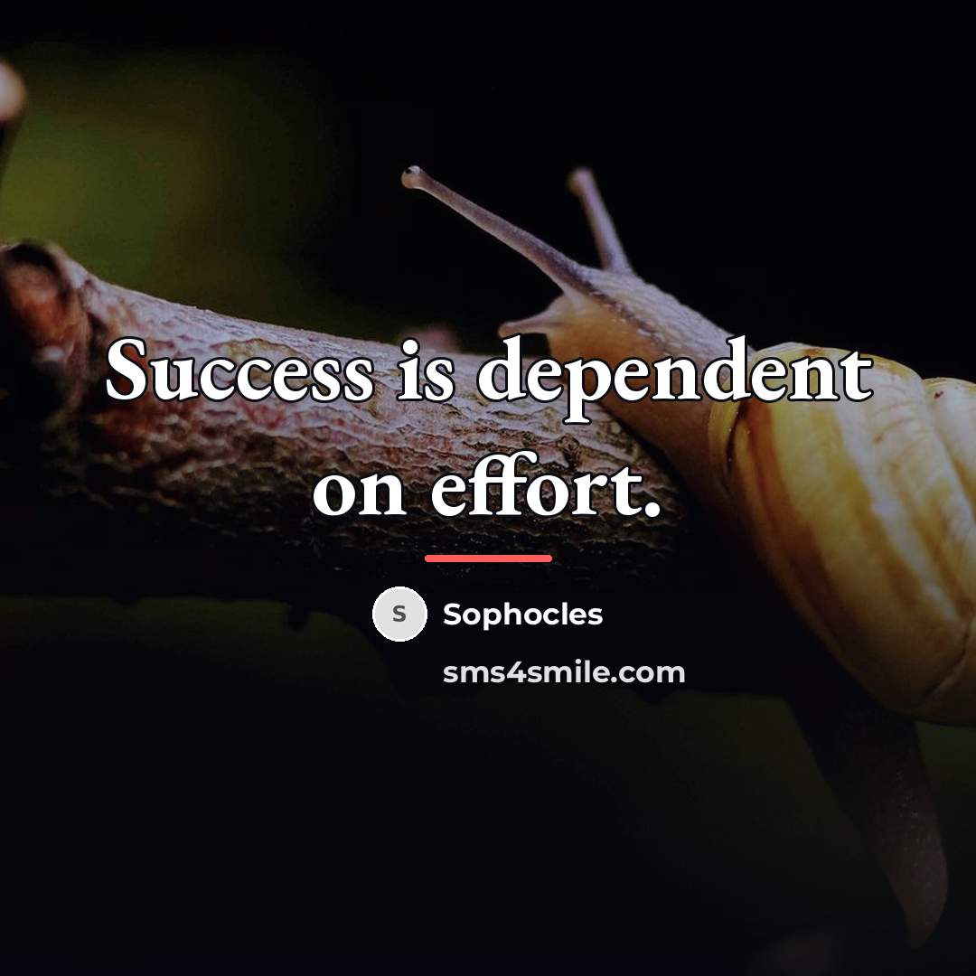 “Success is dependent on effort.…” quote by Sophocles