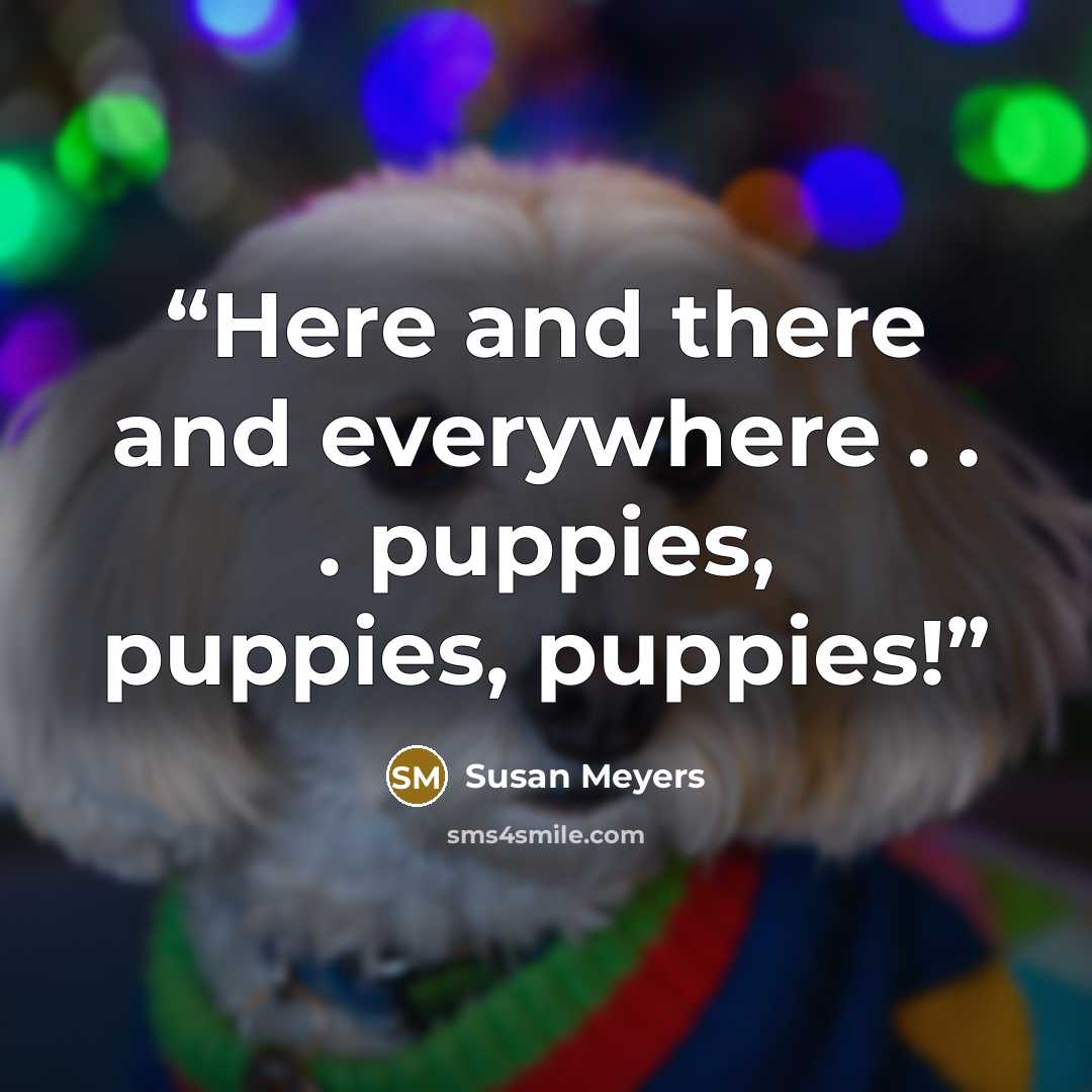 “Here and there and everywhere . . . puppies, puppies, puppies!” quote by Susan Meyers
