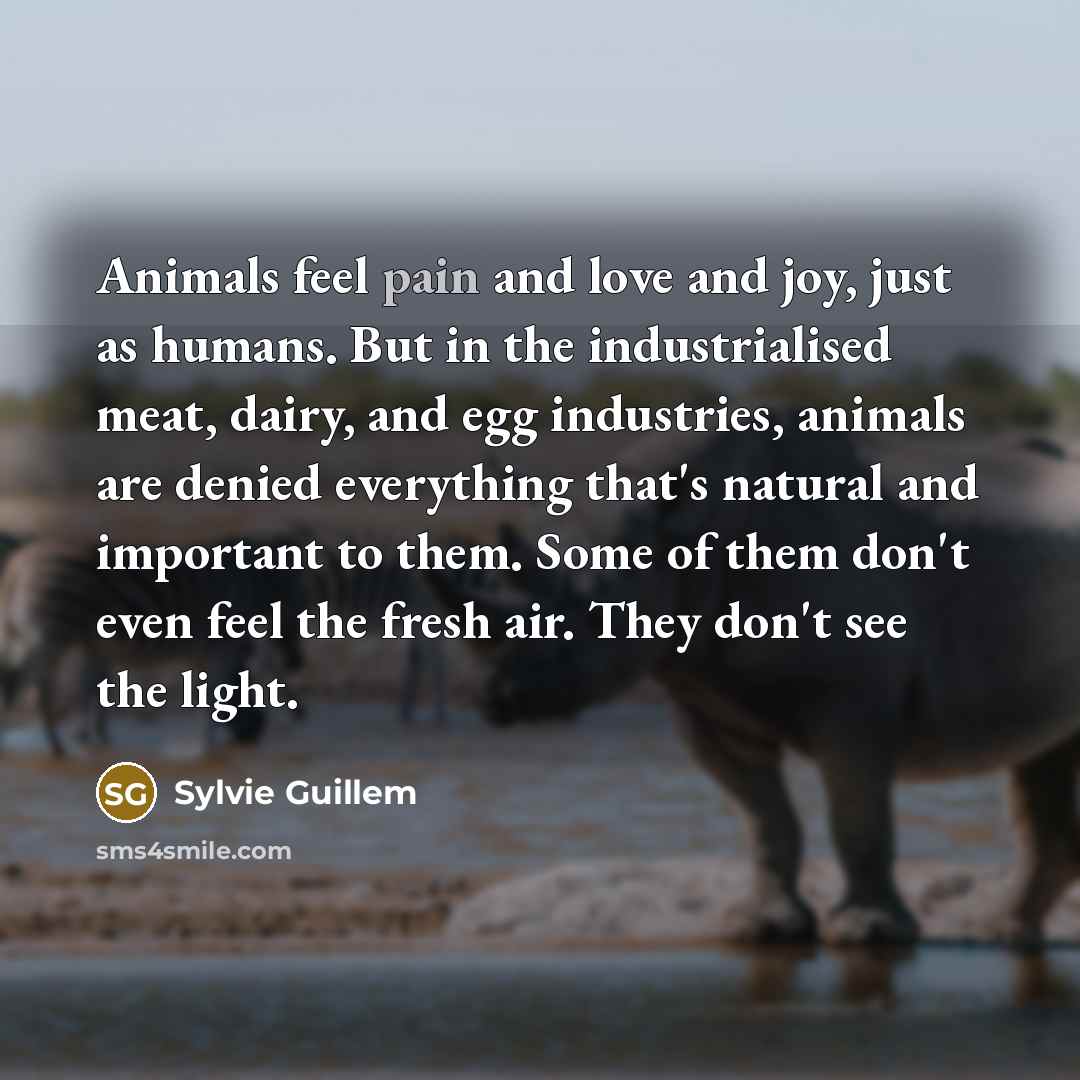 “Animals feel pain and love and joy, just as humans.…” quote by Sylvie Guillem
