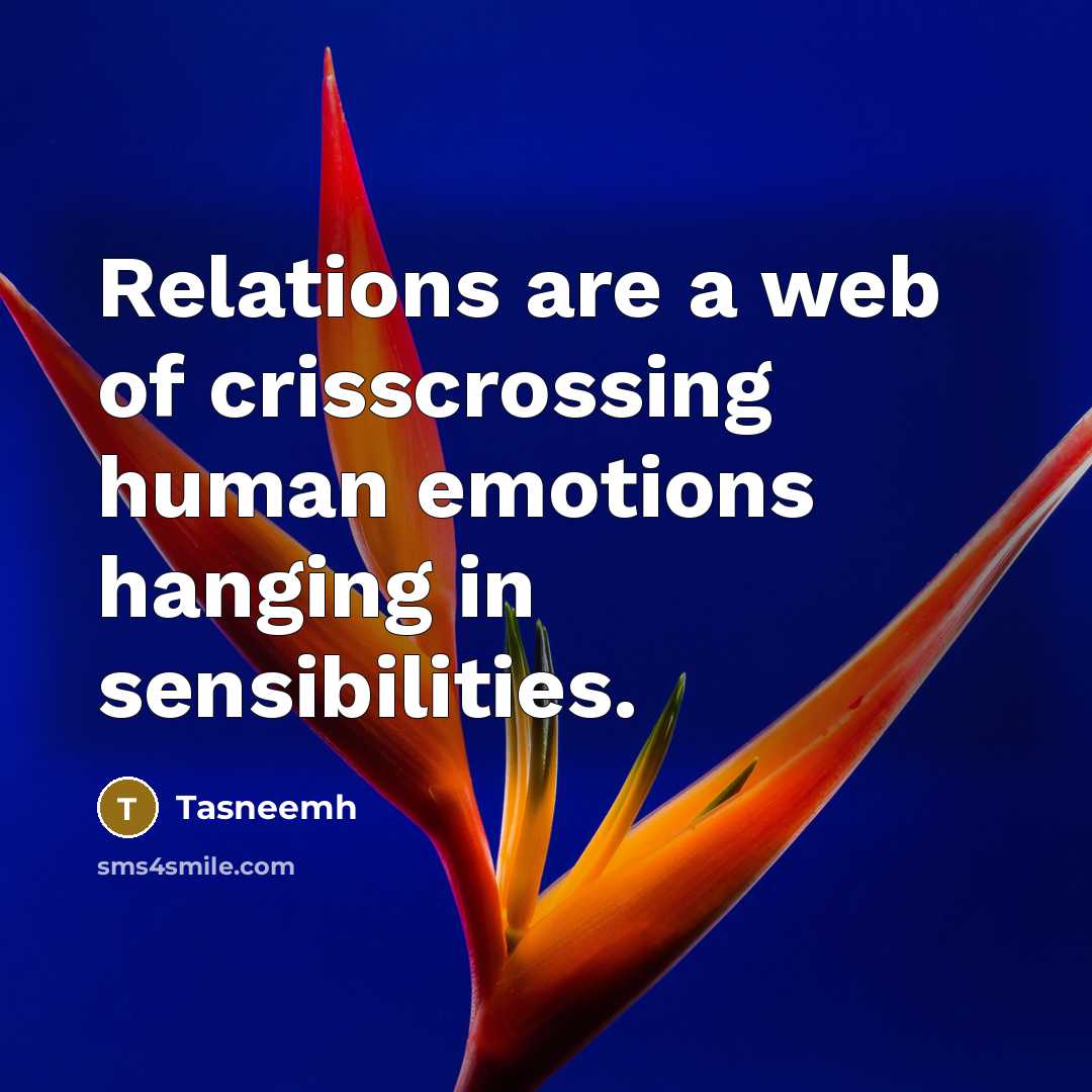 “Relations are a web of crisscrossing human emotions hanging in sensibilities.” quote by Tasneemh