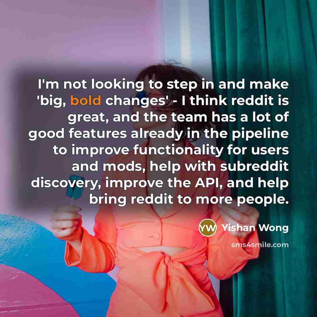 “I'm not looking to step in and make 'big, bold…” quote by Yishan Wong