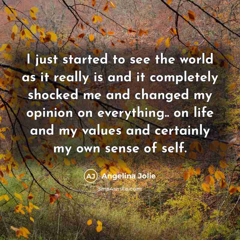 “I just started to see the world as it really…” quote by Angelina Jolie