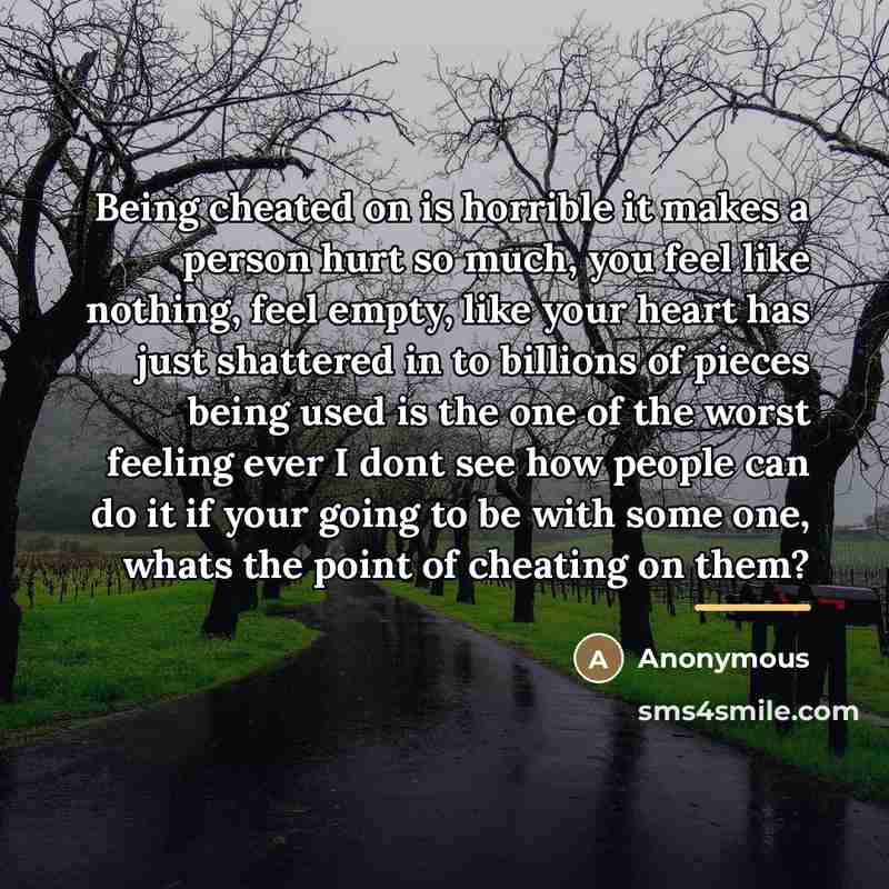 “Being cheated on is horrible it makes a person hurt…” quote by Anonymous