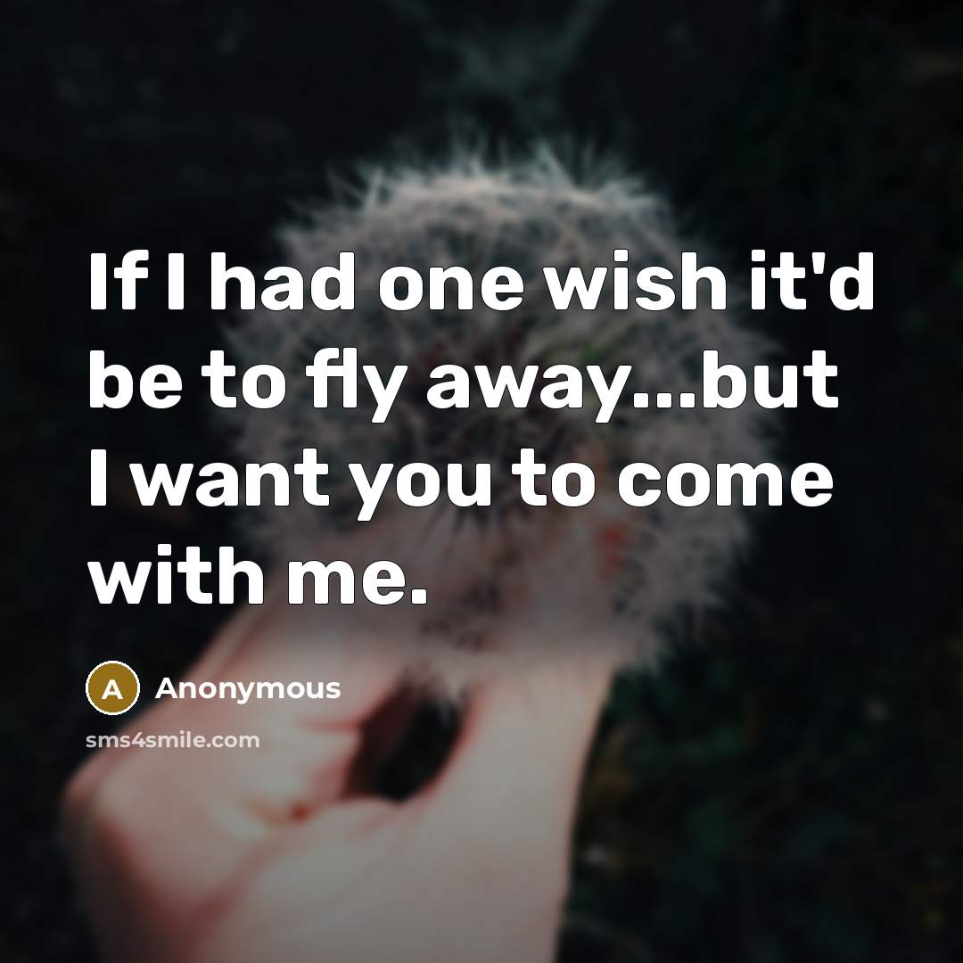 “If I had one wish it'd be to fly away...but I want you to come with me.” quote by Anonymous