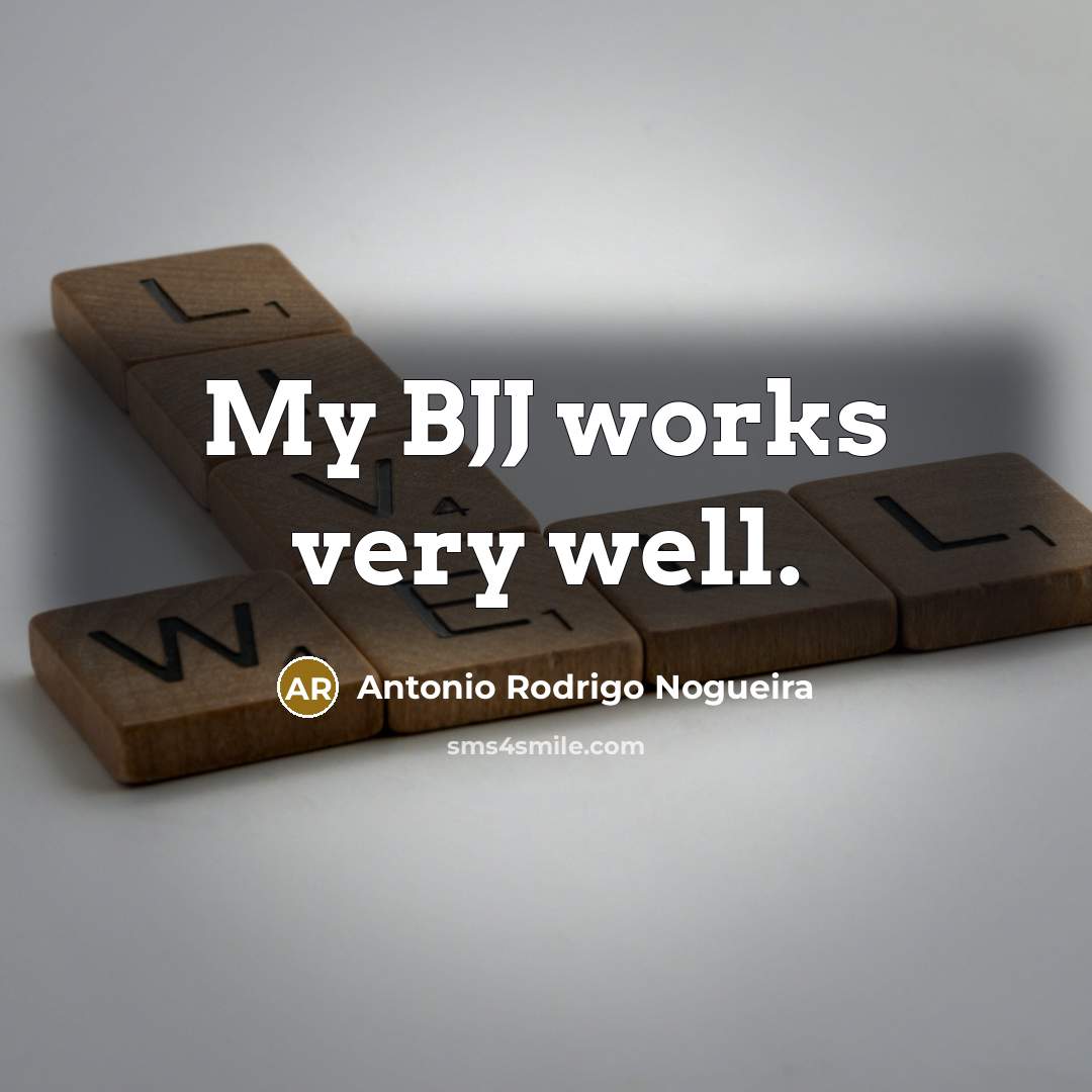 “My BJJ works very well.…” quote by Antonio Rodrigo Nogueira