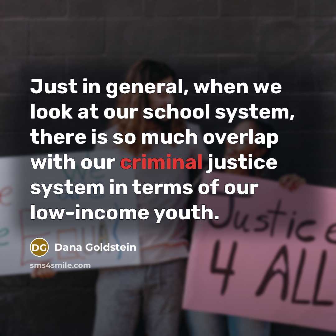 “Just in general, when we look at our school system,…” quote by Dana Goldstein