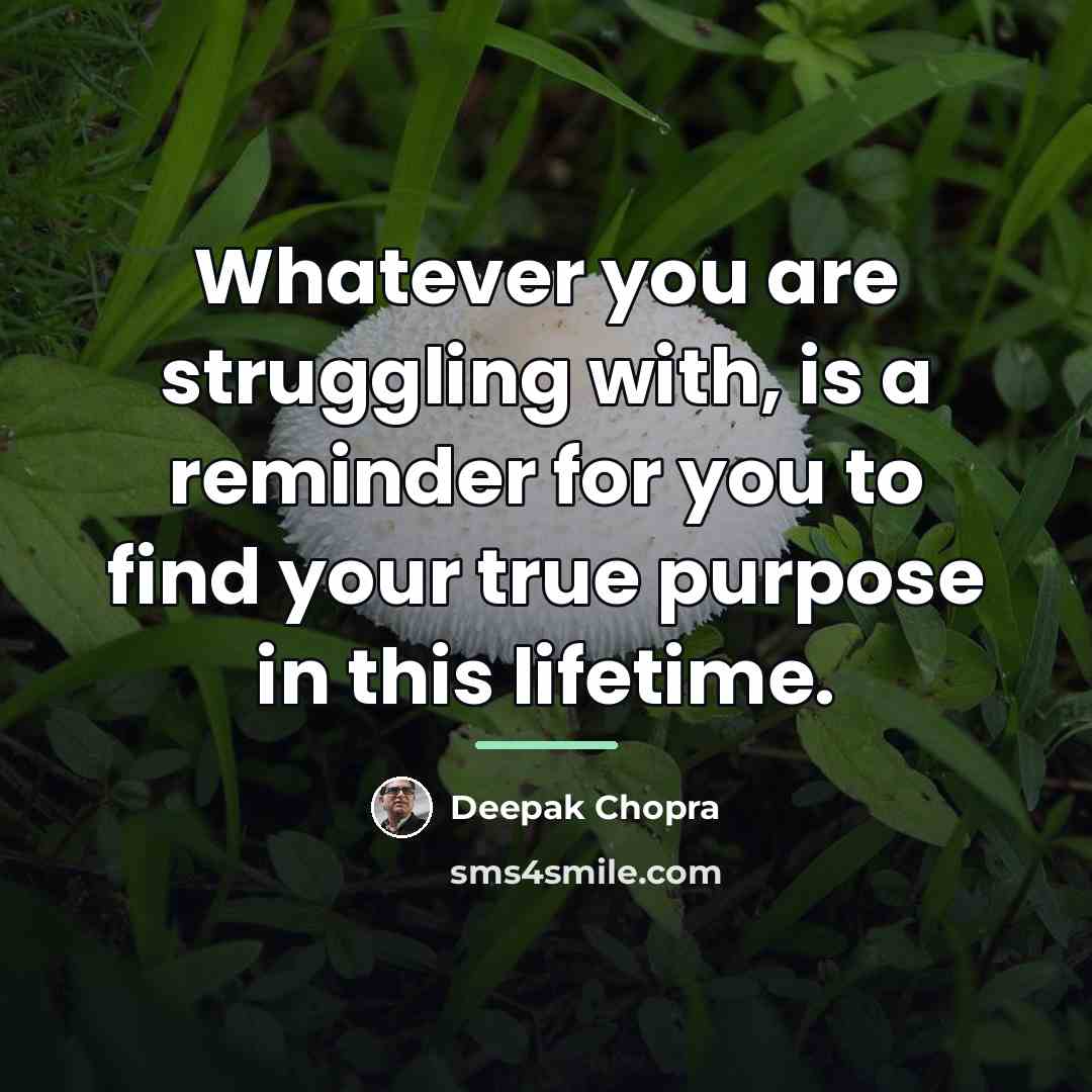 “Whatever you are struggling with, is a reminder for you…” quote by Deepak Chopra