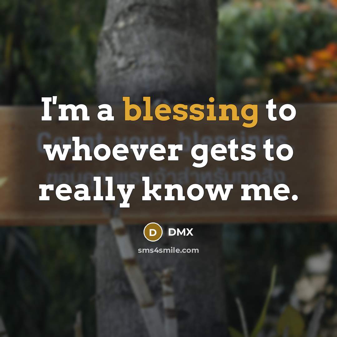 “I'm a blessing to whoever gets to really know me.…” quote by DMX