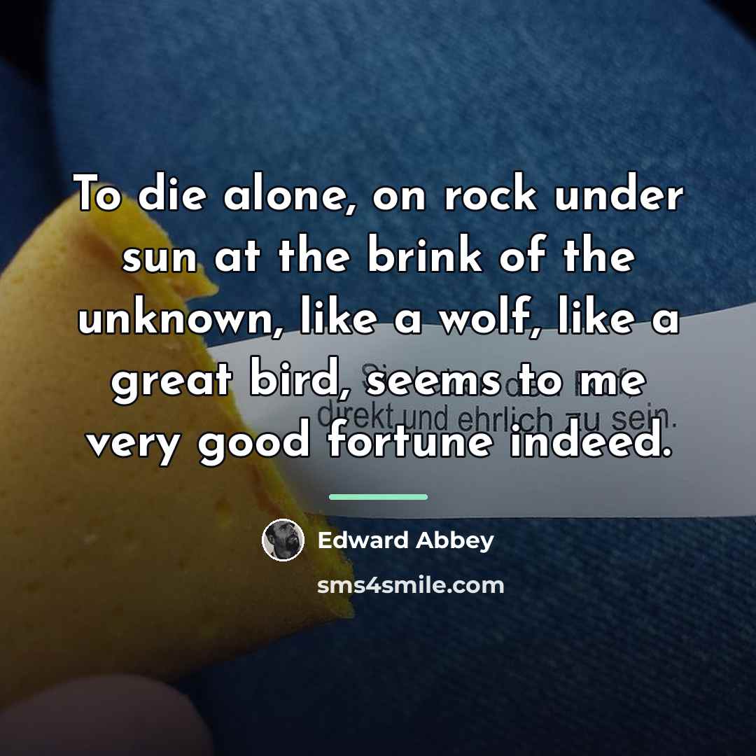 “To die alone, on rock under sun at the brink…” quote by Edward Abbey