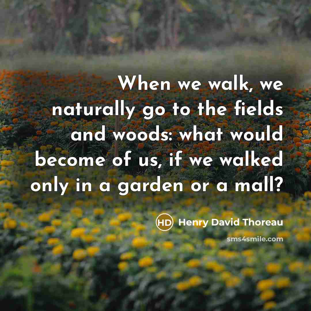 “When we walk, we naturally go to the fields and…” quote by Henry David Thoreau