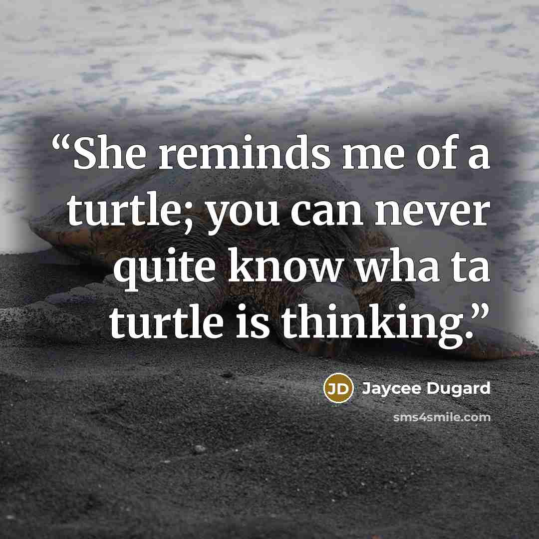 “She reminds me of a turtle; you can never quite know wha ta turtle is thinking.” quote by Jaycee Dugard